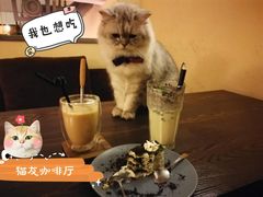 -猫友咖啡店(玉林西路店)