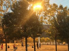 -古柏渡飞黄旅游区