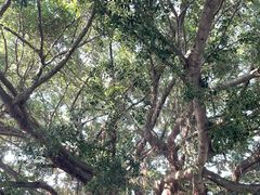 -北海市海滨公园