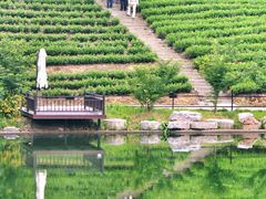 -帐篷客·溪龙茶谷度假酒店