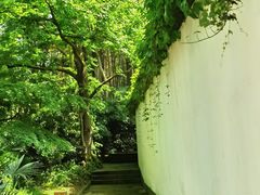 -杭州黄龙洞