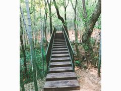 -宝岩生态观光园