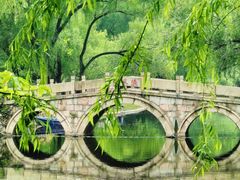 -上海共青森林公园