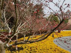 -上海市龙华烈士陵园