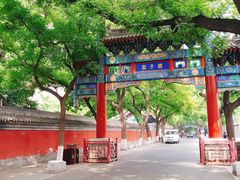 -北京国子监胡同
