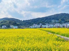 -九鲤湖风景区