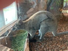 -昆明大悦城未来动物城(螺蛳湾中心店)