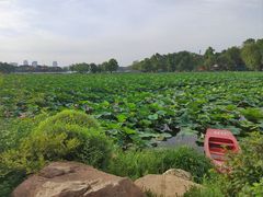 -长春市南湖公园