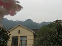 -重庆南山海昌汤都