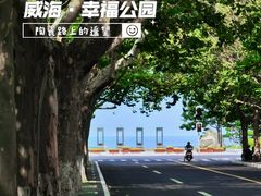 -幸福门