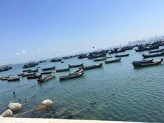 -海源公园