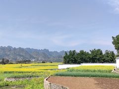 -万峰林风景区