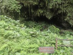 -海口火山口国家地质公园