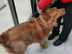 -宠福鑫康馨动物医院·骨科·眼科