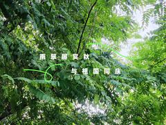 -南翠屏公园