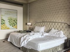 -上海闵行星河湾酒店