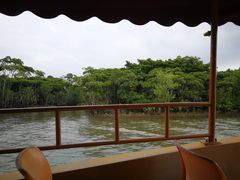 -东寨港红树林旅游区