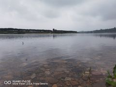 -燕塞湖鸟语林景区