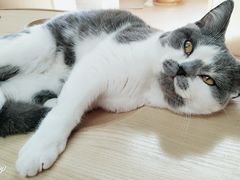 -猫和宫(六道口店)