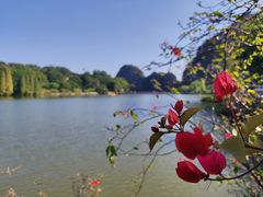 -星湖旅游景区七星岩