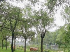 -长春市南湖公园