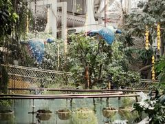 -正佳雨林生态植物园