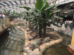 -石家庄市动物园