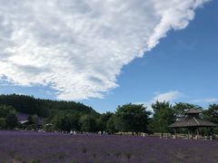 -富田农场