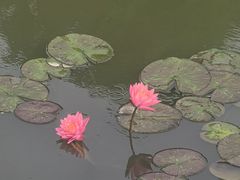 -黄兴公园