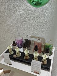 -薇薇安花系SPA