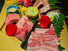 -300杯·和牛烧肉清酒专门店(廊里店)