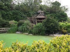 -吴淞炮台湾湿地森林公园烧烤区