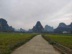-明仕田园