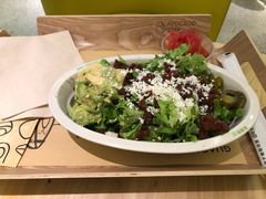 -油梨树AVOCADO TREE(顺义新国展店)
