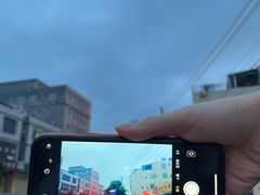 -东郊椰林