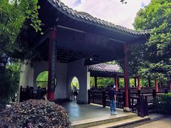 景点-橘子洲景区