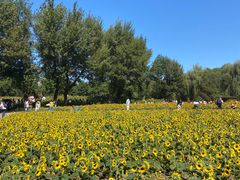 -长白岛森林公园