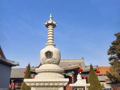 -天津大悲禅院