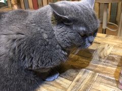 -小时光咖啡馆(开森度假森林店)