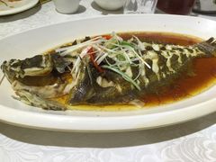 -赶海部落海鲜城(海阳路店)