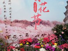 -苏州上方山国家森林公园