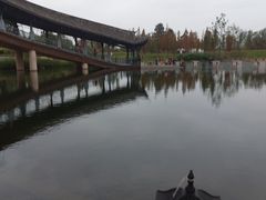 -眉山湿地公园(东坡区)