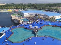 -秦皇岛乐岛海洋王国