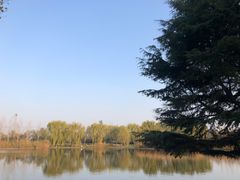 -石家庄市植物园