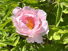 -河南省黄河迎宾馆