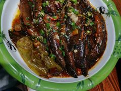 -五谷粮煎饼卷大葱(景星店)