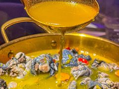 -Darling Queen·Mini·Live·House