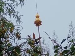 -龙华寺