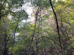 -大连天门山国家森林公园