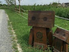 -田园东方蜜桃村的田野营地